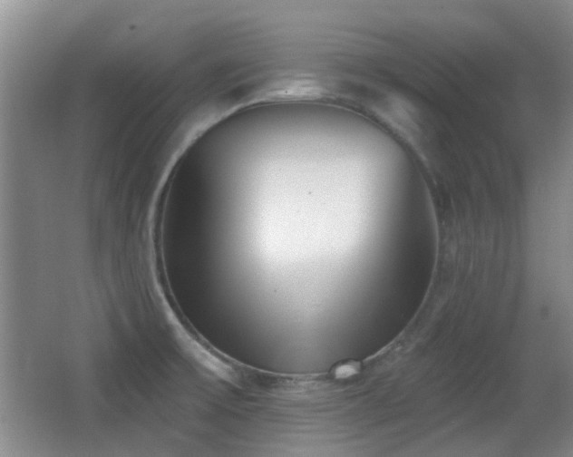 X0000066991475200603241303