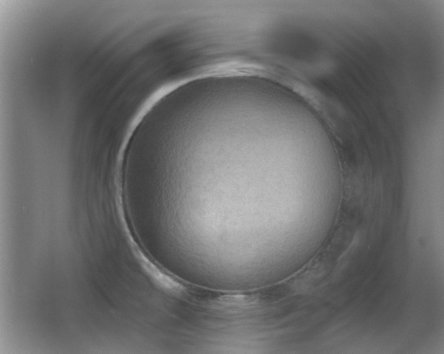 X0000066991478200603241303
