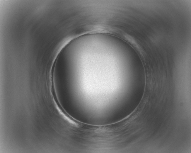 X0000066991479200603241303