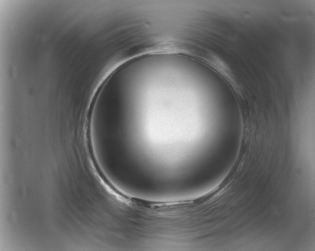 X0000066991484200603241303