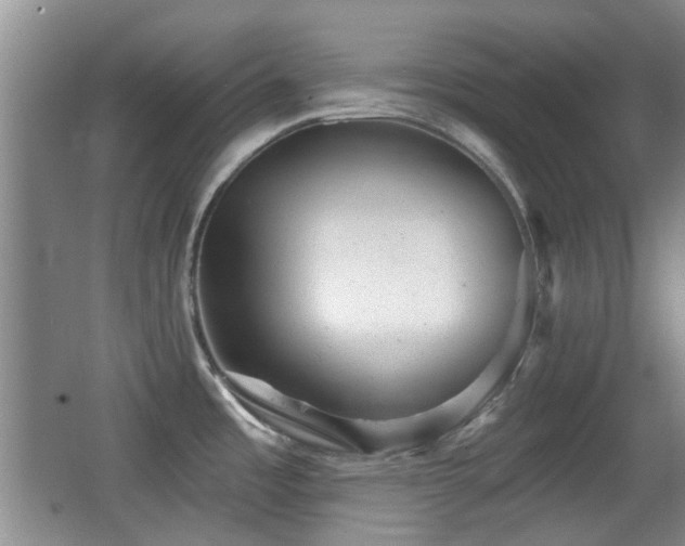 X0000066991485200603241303