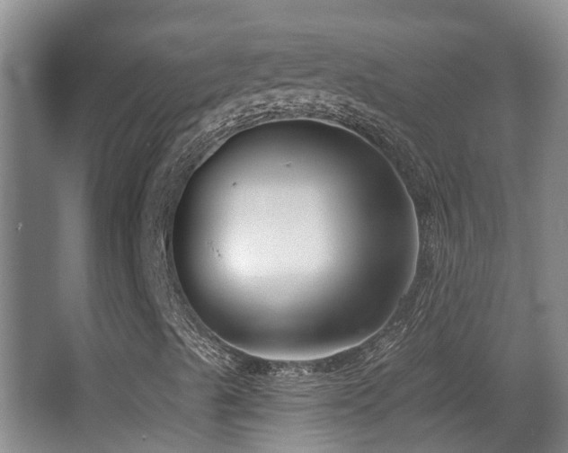 X0000066991489200603241302