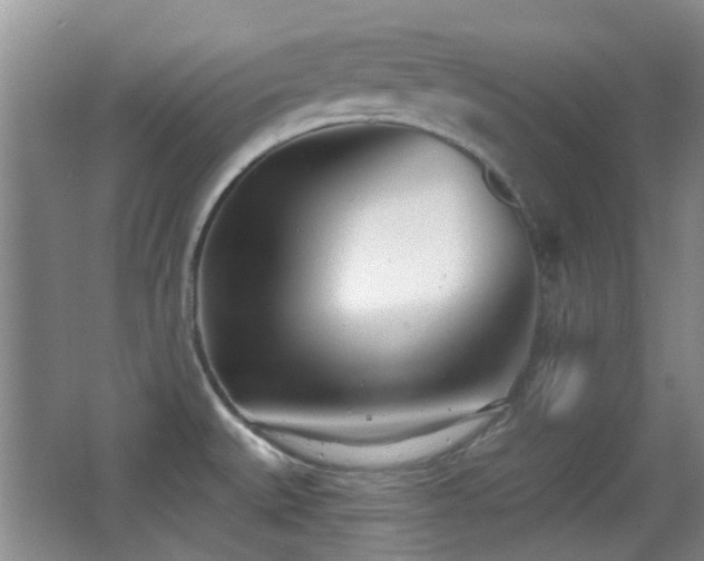 X0000066991527200603241303