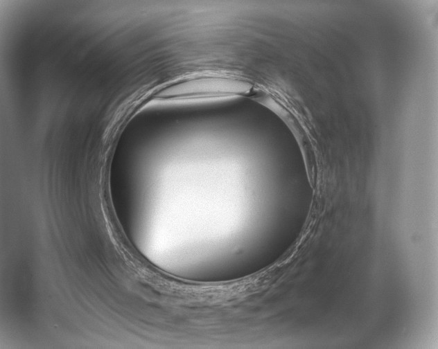 X0000066990001200603271326