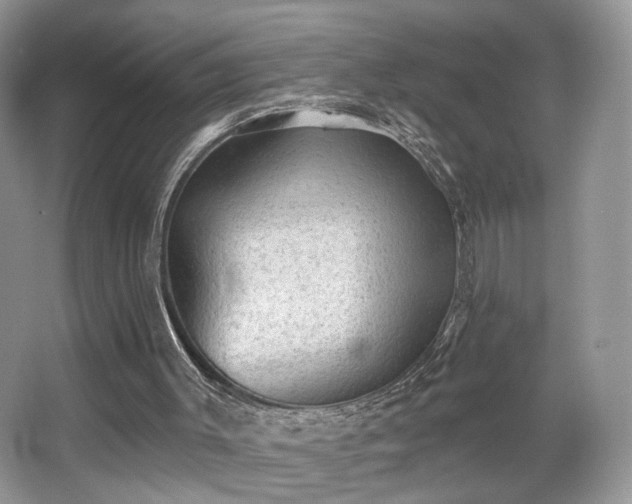 X0000066990003200603271326