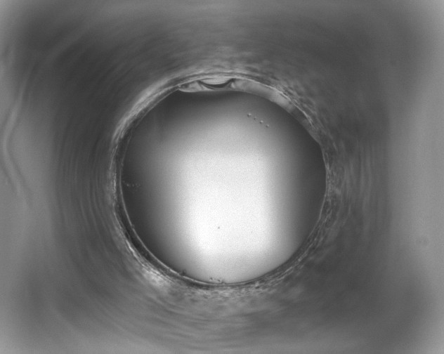 X0000066990005200603271326