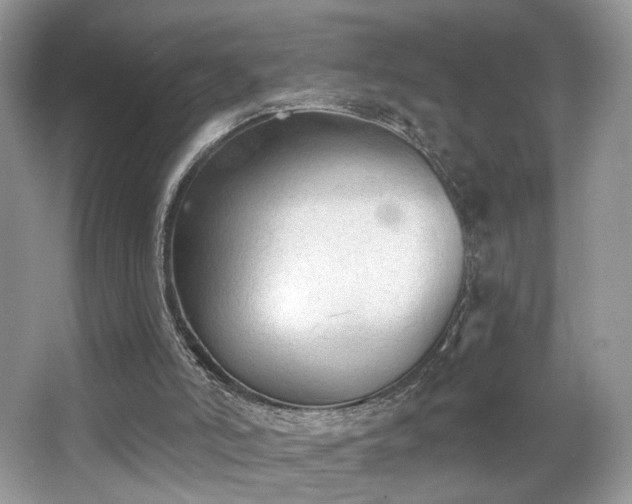 X0000066990006200603271326