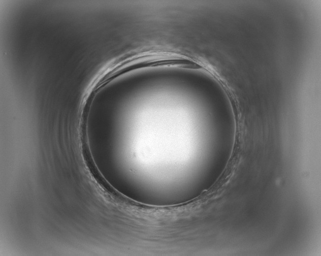 X0000066990007200603271326