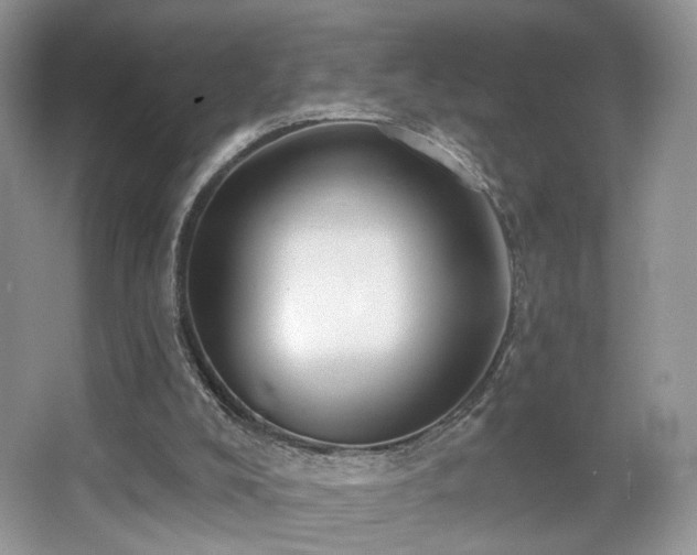 X0000066990008200603271326
