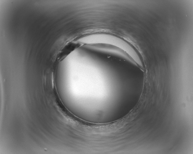 X0000066990013200603271326