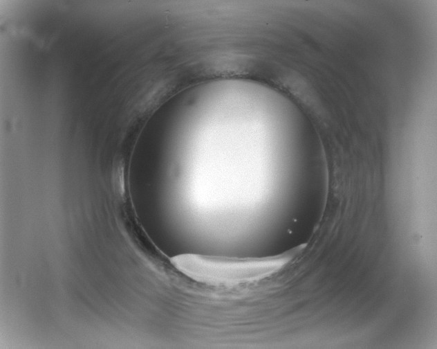 X0000066990021200603271326