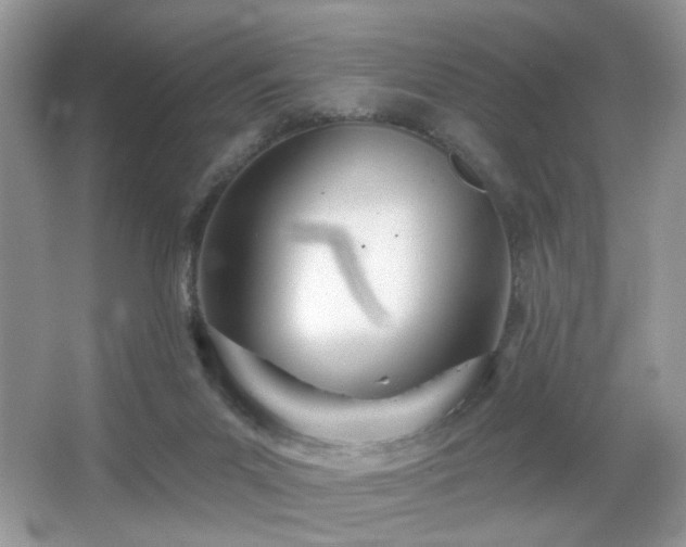 X0000066990023200603271326