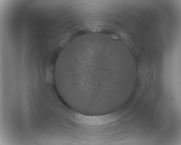 X0000066990030200603271326