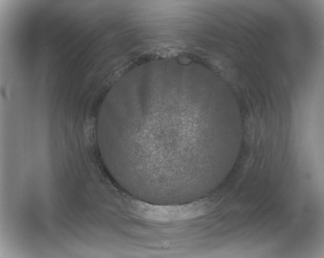 X0000066990034200603271326