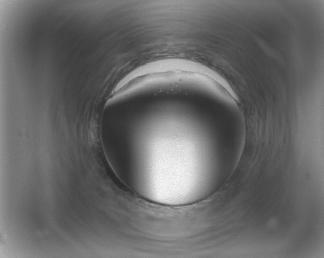 X0000066990035200603271326