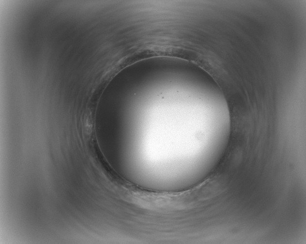X0000066990040200603271326