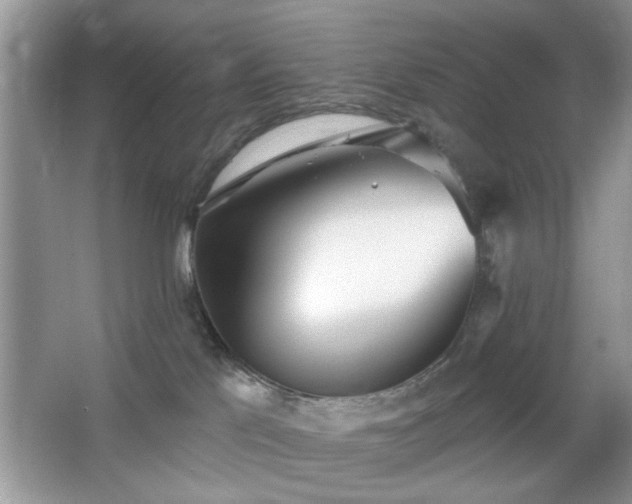 X0000066990041200603271326