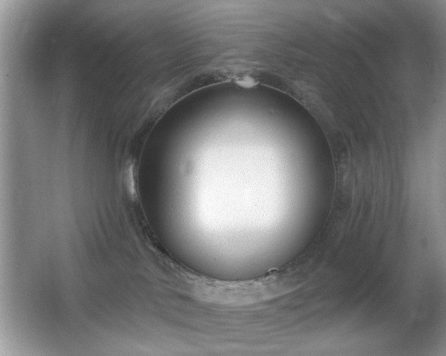 X0000066990042200603271326