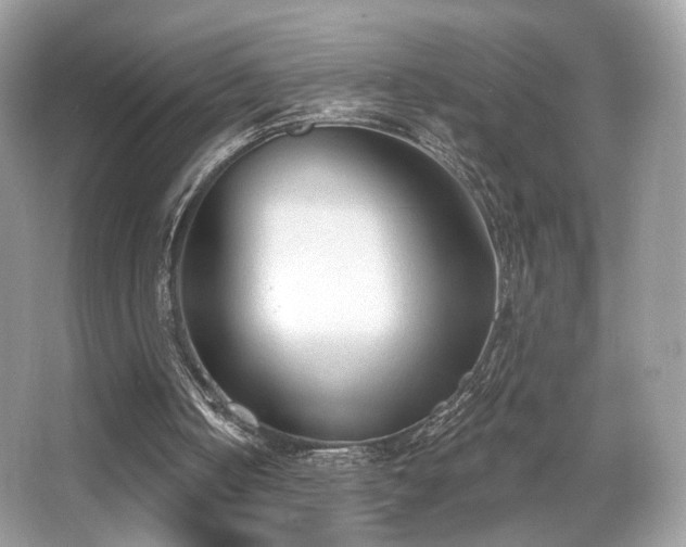 X0000066990050200603271325