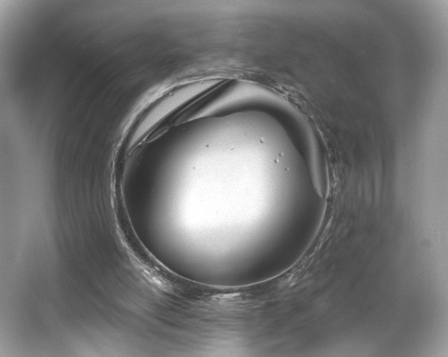 X0000066990054200603271325