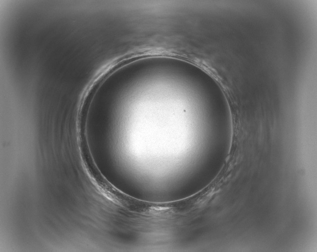 X0000066990055200603271325