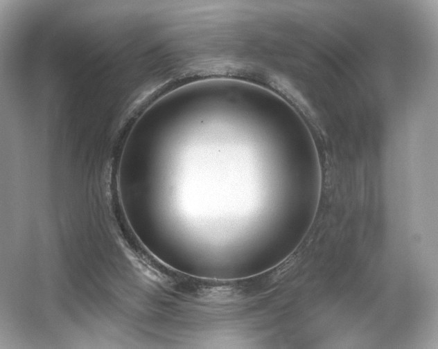 X0000066990058200603271325