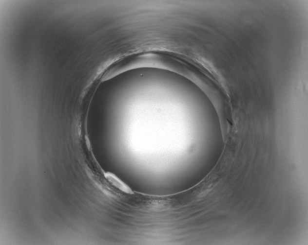 X0000066990060200603271325
