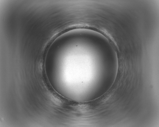 X0000066990063200603271325