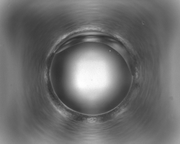 X0000066990064200603271325