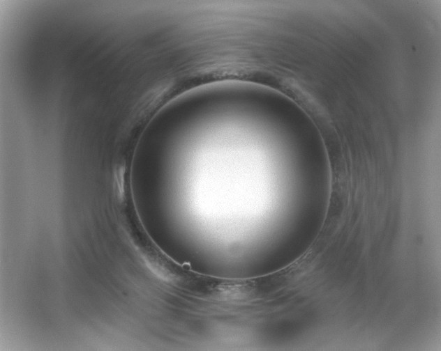 X0000066990070200603271325