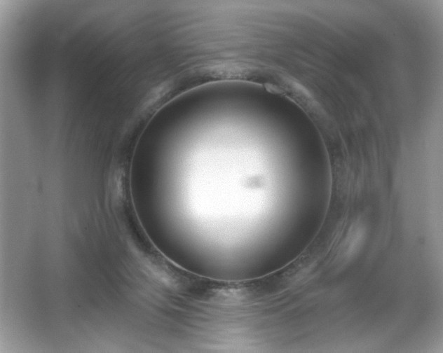X0000066990071200603271325