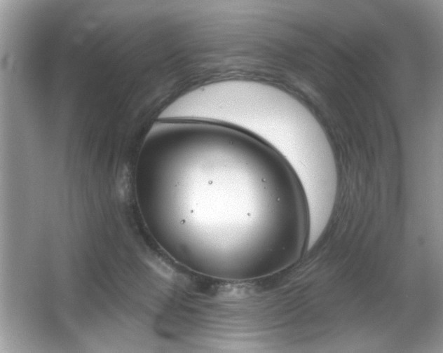 X0000066990077200603271325