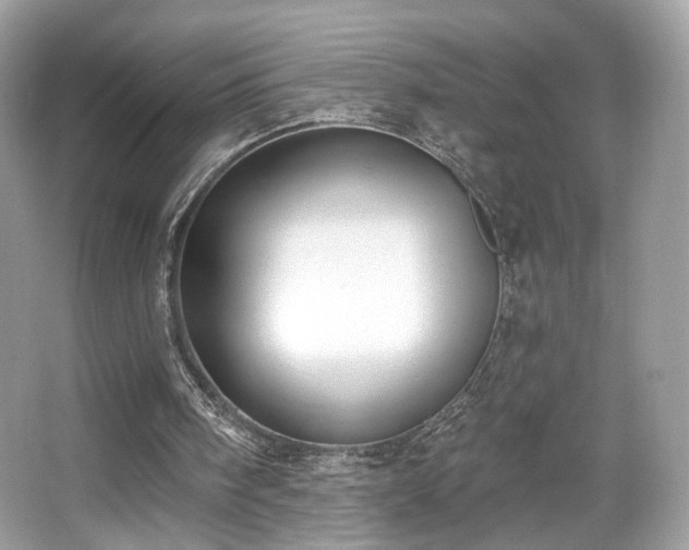 X0000066990098200603271325