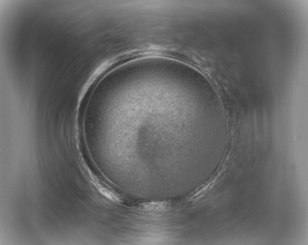 X0000066990102200603271324