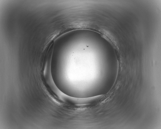 X0000066990105200603271324