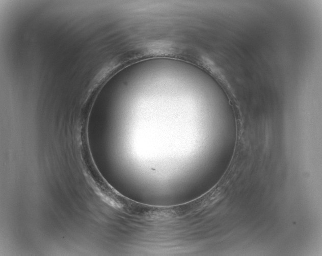 X0000066990106200603271324