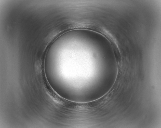 X0000066990107200603271324