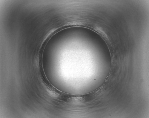 X0000066990108200603271324