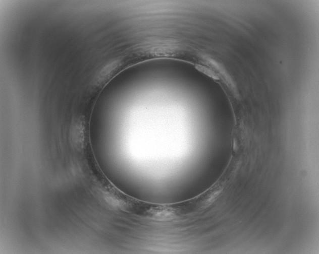 X0000066990113200603271324