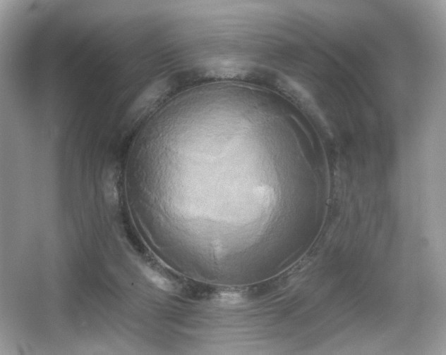 X0000066990114200603271324