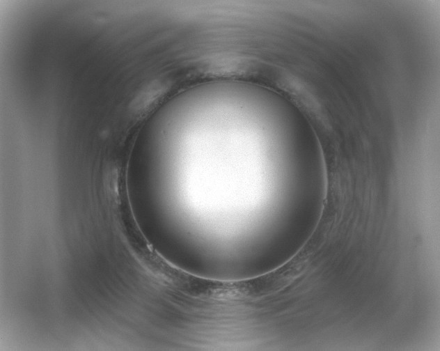 X0000066990115200603271324