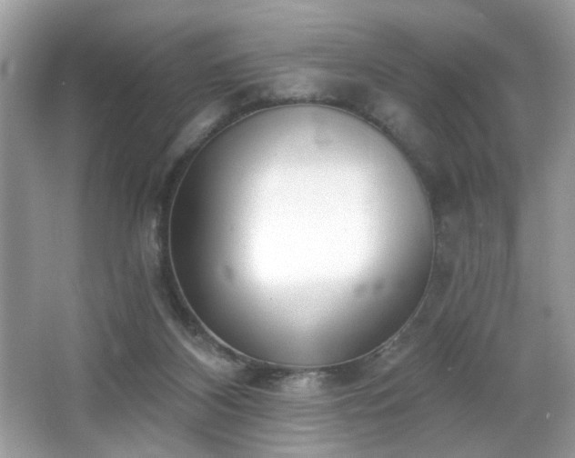 X0000066990116200603271324