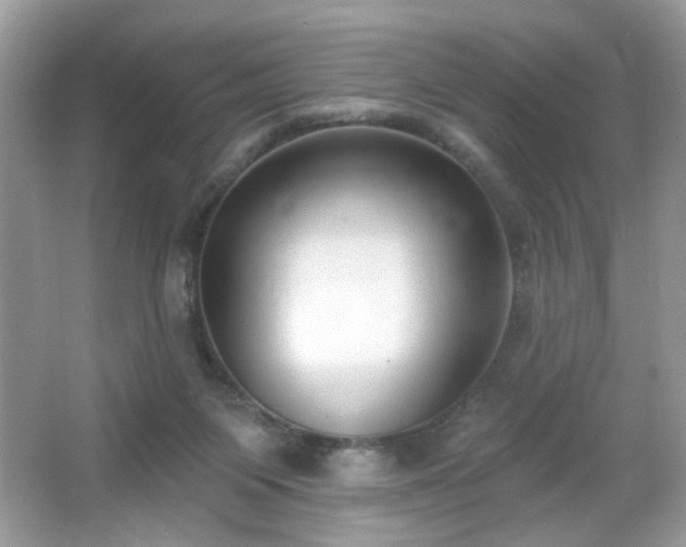 X0000066990119200603271324