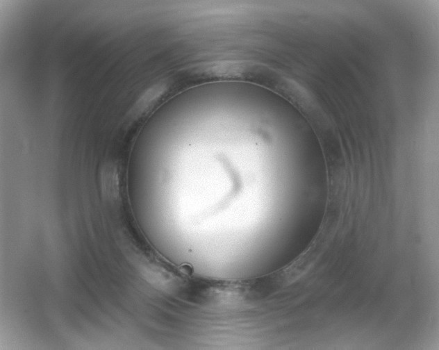 X0000066990120200603271324