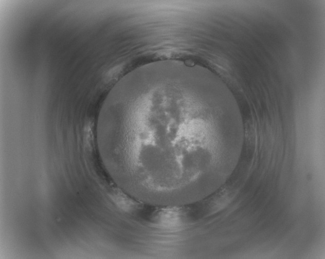 X0000066990127200603271324