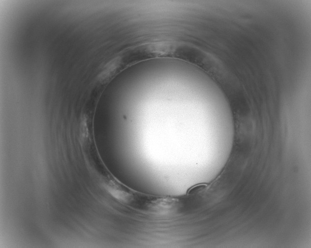 X0000066990128200603271324