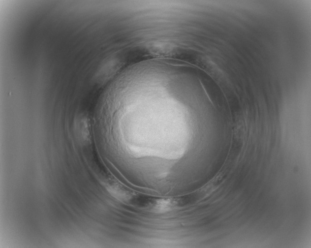 X0000066990130200603271324