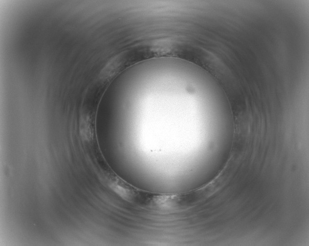 X0000066990136200603271324