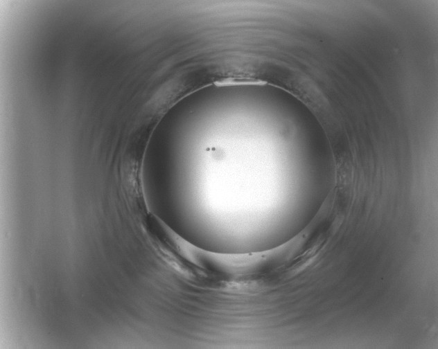 X0000066990141200603271324