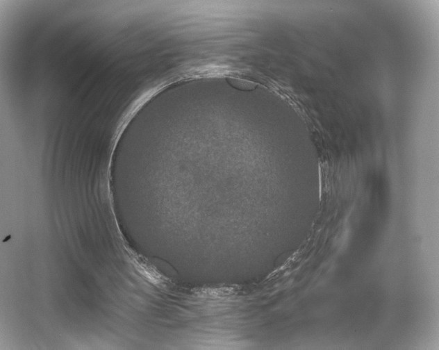 X0000066990147200603271323